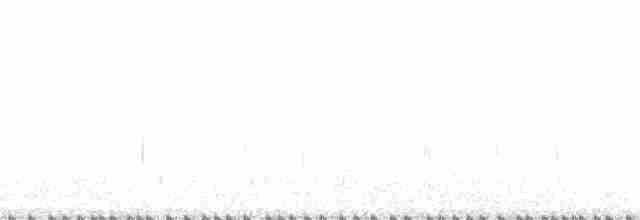 pisila černokrká (ssp. knudseni) - ML128106