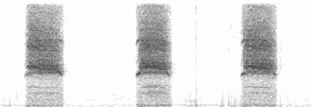 kakadu hnědohlavý - ML128148951