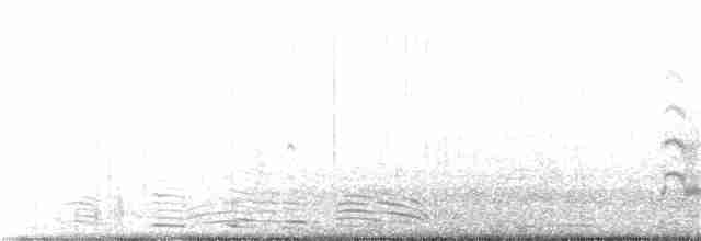 South American Tern - ML128155351