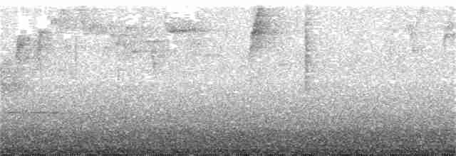 Alev Karınlı Dağ Tangarası - ML128158221