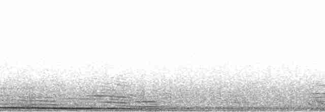 bowhead whale - ML128205