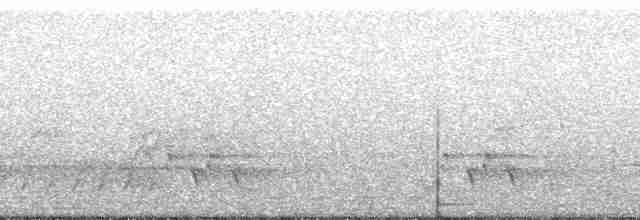 Spotted Quail-thrush - ML128359
