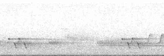 ホウセキドリ（punctatus） - ML128360