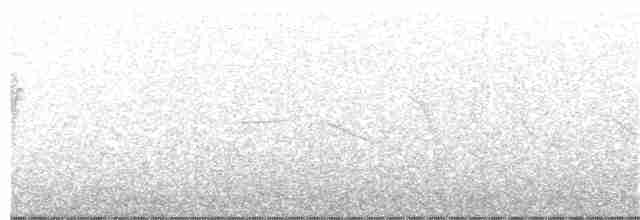 Magellandrossel - ML128534821