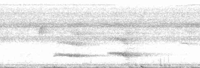 Channel-billed Toucan (Yellow-ridged) - ML12858