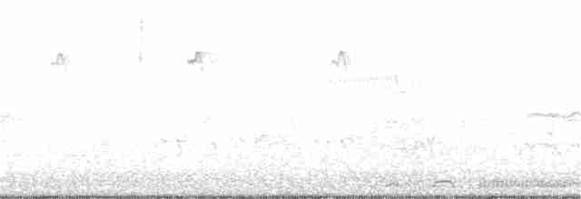 珠頸斑鳩 - ML128629161