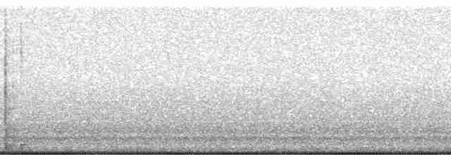 cattail conehead - ML128646