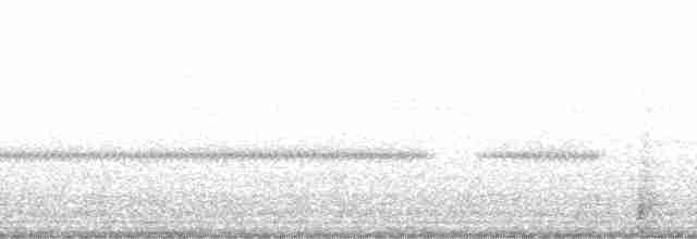 cattail conehead - ML128672