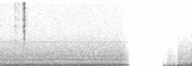 cattail conehead - ML128695