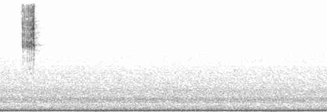 cattail conehead - ML128710