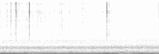 cattail conehead - ML128722