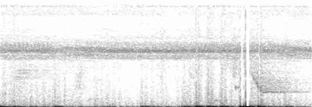 Breithauben-Stirnvogel - ML128748081
