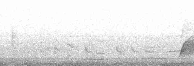 Weißkehl-Ameisendrossel - ML128943