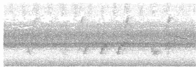 Australian Reed Warbler - ML129166301