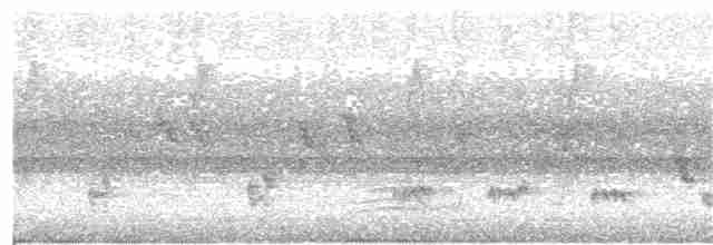 Australian Reed Warbler - ML129166321