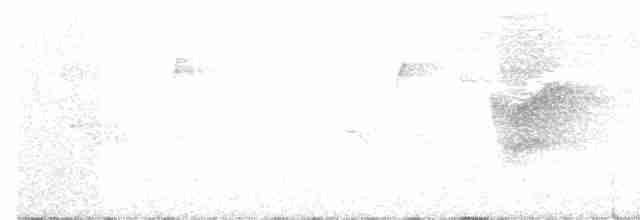 Вилохвістка плямиста - ML129229161