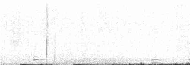 Cygne trompette ou C. siffleur - ML129284431