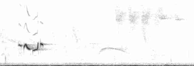 Cardinal à dos noir (aureoventris) - ML129346