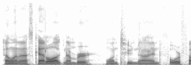 Борнейская лесная куропатка - ML129455