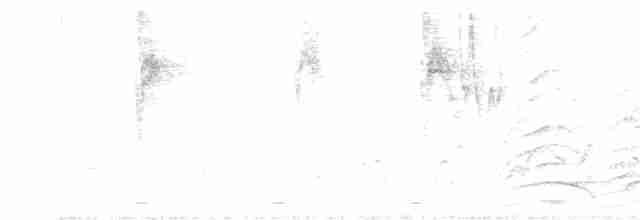 Malabar Gray Hornbill - ML129455181
