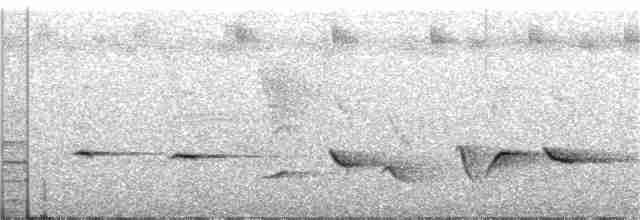 Gray Whistler (Gray-headed) - ML129504841
