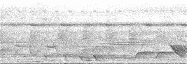 Gri Islıkçı [griseiceps grubu] - ML129504861