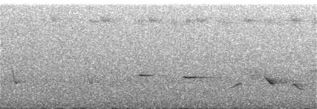 Gri Islıkçı [griseiceps grubu] - ML129504871