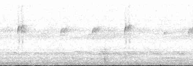Cinereous Tinamou - ML129513