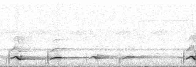 Toucan à bec rouge (cuvieri/inca) - ML129538