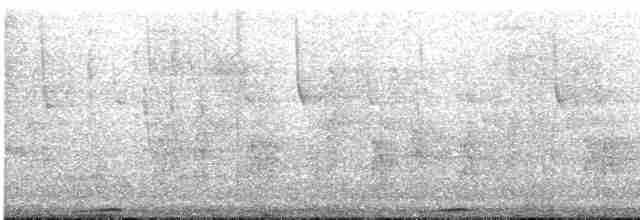 Mondetourtäubchen - ML129589831