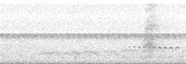 Kestane Karınlı Guguk - ML129600461