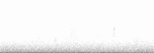White-eyed Vireo - ML129651221