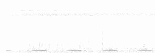 femfargeskjeggfugl - ML129724561