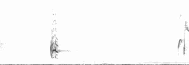 Жемчужноглазый пересмешник - ML129742