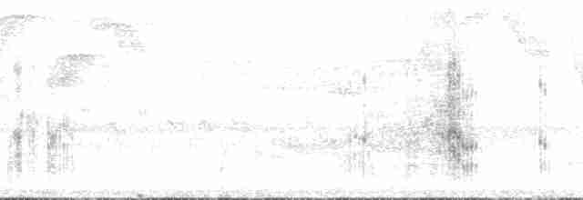 Зелонощёкая которра - ML129789
