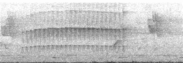 strakapoud hnědohlavý - ML129811051