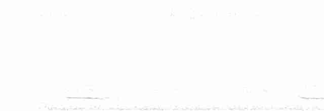 Сичик-горобець гірський - ML130021381
