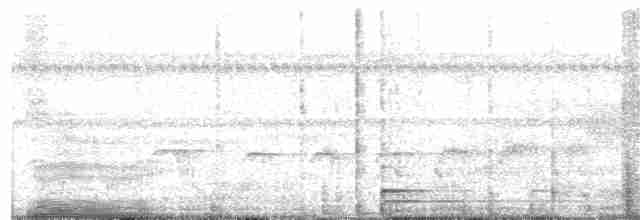 White-flanked Antwren - ML130072301