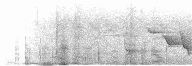 Bornean Whistler - ML130078401