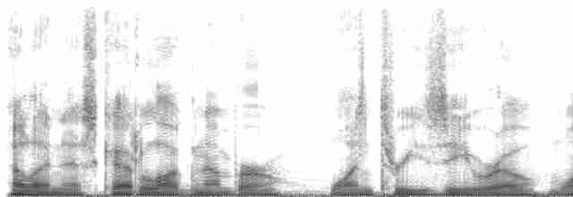 Желтошапочный вьюрок - ML13010
