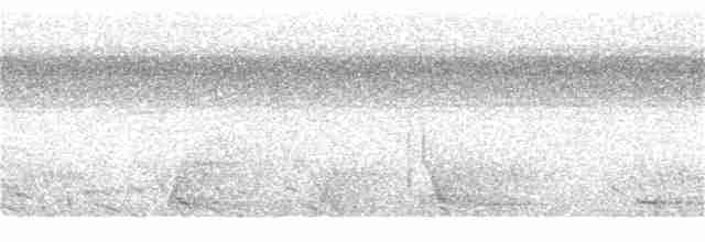 Мухолов чорночубий - ML130108951