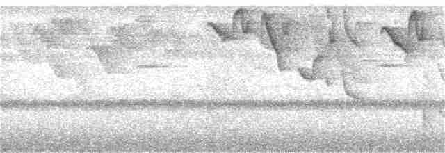 Гвианский колибри-отшельник - ML130109131