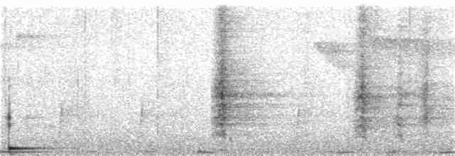 Boz Kanatlı Borazankuşu (crepitans) - ML130110011