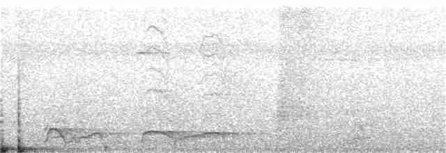 purpurskjeggkotinga - ML130110091