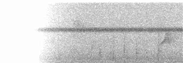 Slaty Antwren - ML130119591