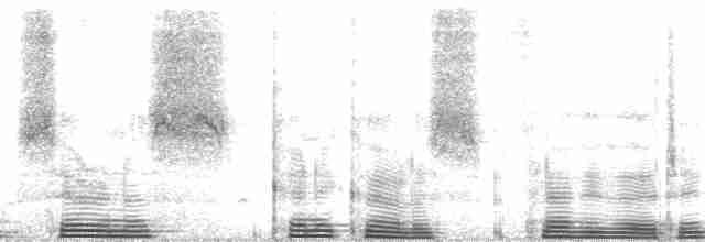 Желтошапочный вьюрок - ML13012