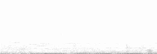 Chouette fasciée - ML130126101
