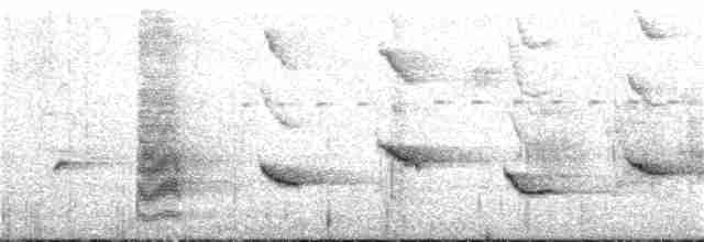Трупіал чорноволий - ML130236751