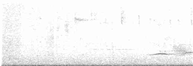 Ядлівчак сірий - ML130258991