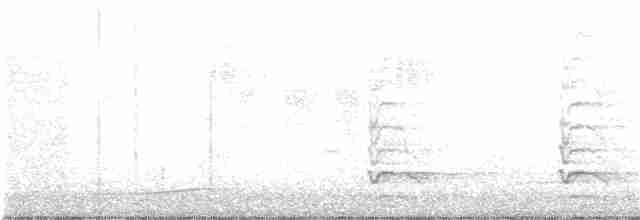 Noisy Friarbird - ML130259011